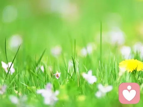 心理咨詢是一個怎樣的過程