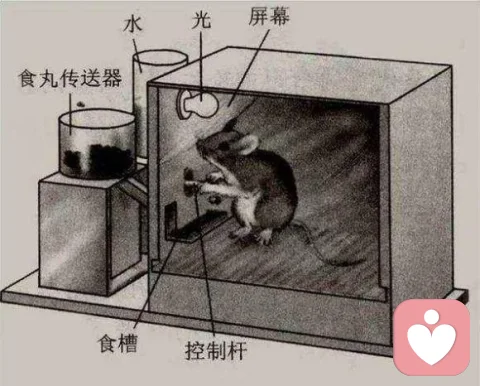 心理学实验图示