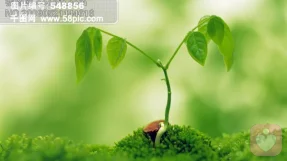 【原创】关于自卑