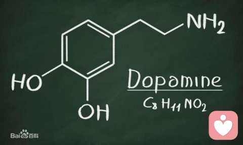 我们成瘾的背后——内分泌多巴胺