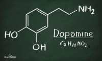 我们成瘾的背后——内分泌多巴胺