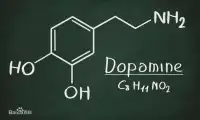 我們成癮的背后——內分泌多巴胺