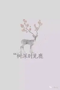 心理咨詢師程紅艷的心理觀