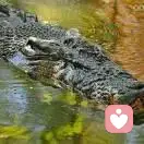 俯首称臣吧！屁民们的头像