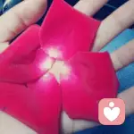 择一城终老的头像