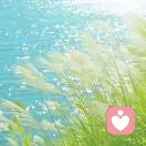 つ゛无名小姐的头像