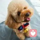 刘双是一个特别有魅力的女人的头像