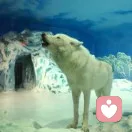 皮哥夜聊的头像