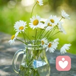 半暖阳光的头像