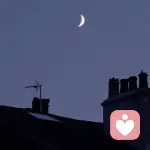 逆境中成长的头像