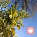 朋友的心的头像