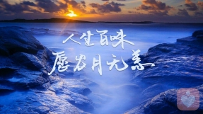 心理专家,心理咨询费用,心理咨询效果怎么样