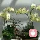 越读书越幸运的头像