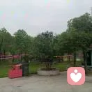 程程（倾听陪伴）的头像