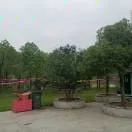 程哥（倾听陪伴）