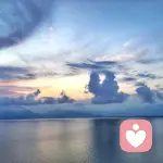 金属的魔术师的头像