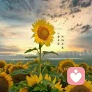 不畏将来的头像