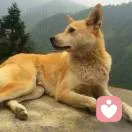 Wen的头像