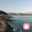 银凤的头像