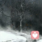 仙云夢澤的頭像