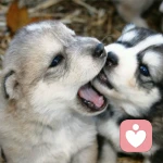 期待...梦想。。。的头像