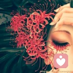 曼珠沙華♚夢魘的头像