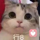 你皮任你皮的头像