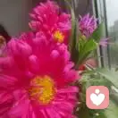 清水芙蓉的头像