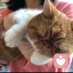 蹲墙角的蘑菇的头像