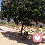 这搁冬悸 ~相约海边的头像