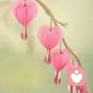 天天快乐的头像