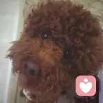 -　　nana的头像