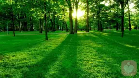 蒋希明心理专家,蒋希明心理咨询费用,蒋希明心理咨询效果怎么样