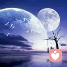 彻夜不眠的头像