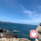 浮浮沉沉的头像