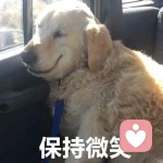 恶龙咆哮的头像