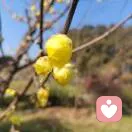 向阳而生的头像