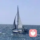 桂有桂的道理的頭像