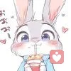 star的头像