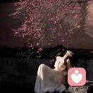 Denᴗgᰔᩚ的头像