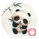流小浪的头像