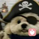 时间若风的头像