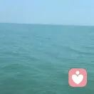旧机动车再就业分配师的头像