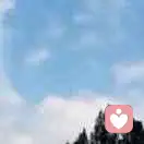 藕断丝连的头像