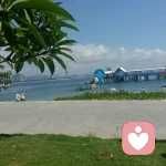 婚姻咨询的头像