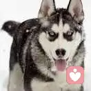 钱多多	的头像