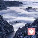 provocative的头像