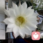 ⒓又⒋分之⒈的头像