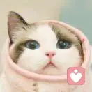 净惹尘埃的头像