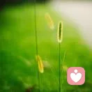 深度倾听Gove的头像
